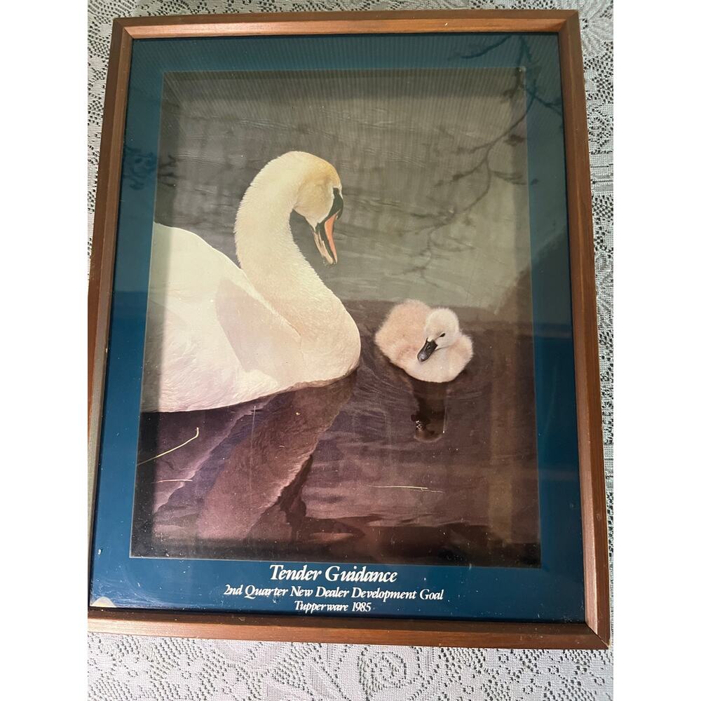 Vintage Tupperware 1985 Tender Guidance Framed Swan Print Dealer Award